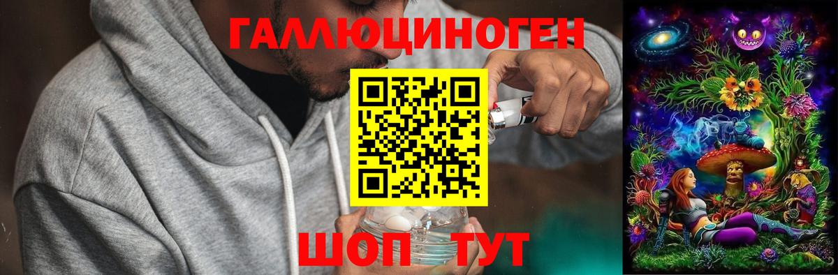 Галлюциногенные грибы Psilocybine cubensis  Вход с VPN  Унеча 